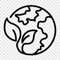 sustainable, renewable, environmentally friendly, ecoconscious icon svg