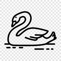 swan, waterfowl, aquatic, diving icon svg