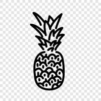 sweet, tropical, fruit, delicious icon svg