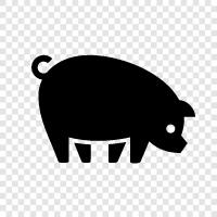 swine, pork, hog, bacon icon svg