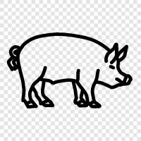 Swine, Farm Animal, Meat, Pig Farm icon svg