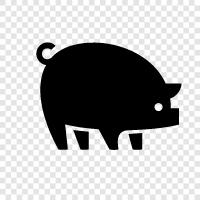 swine, bacon, ham, sausage icon svg