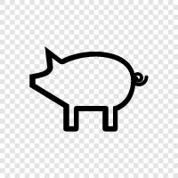 Schweine, Nutztier, Tierrassen, Schweinerassen symbol