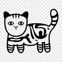 tabby cat pictures, tabby cat breeds, tabby cat personality, tabby cat icon svg