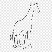 tall, long neck, African animal, animal habitat icon svg