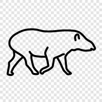 tapir icon svg