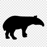 tapirs, conservation, endangered, animal icon svg