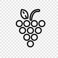 tart, sweet, juice, wine icon svg