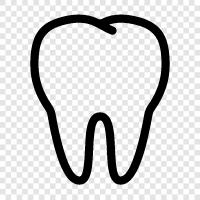 diş, dental, oral, gum ikon svg