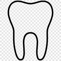 teeth, dental, oral, oral surgery icon svg