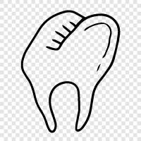 teeth, dental, dental care, cavities icon svg