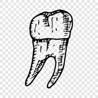 Teeth, Dentist, Repair, Cleaning icon svg