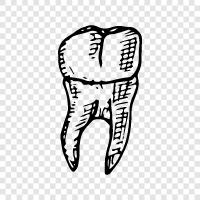 teeth, dental, oral, mouth icon svg