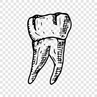 Teeth, Gums, Dental, Dentist icon svg