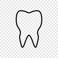 Teeth, Dentist, Dental, Dentist Office icon svg