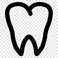 teeth, dental care, dental floss, dental implants icon svg