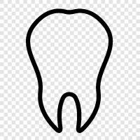 teeth, dental care, dental surgery, oral care icon svg