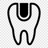 teeth, dental, oral, dental plaque icon svg