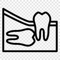 teeth, dental, removable, dental implant icon svg