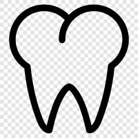 teeth, dental care, dental implants, dental floss icon svg
