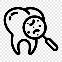 teeth, oral, health, dental care icon svg