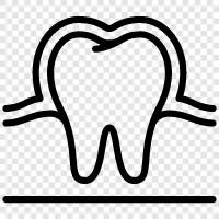 teeth, dental, dental care, enamel icon svg