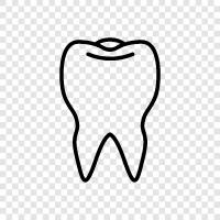 teeth, dental, cavities, decay icon svg