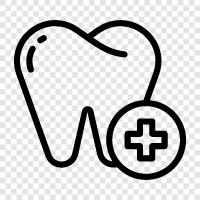 teeth, dental, dental care, dental implant icon svg