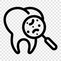 teeth, oral, dental care, dental surgery icon svg