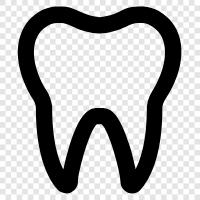 teeth, oral care, oral surgery, dentist icon svg