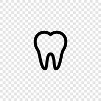 Teeth, dental, oral, dental care icon svg