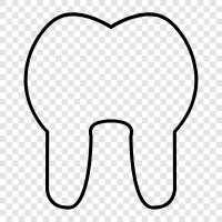 Zahn, Dental, oral, Zahnpflege symbol