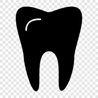 Teeth, Gums, Dental, Dentist icon svg