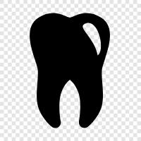 Teeth, Dentist, Dentist Near Me, Dentist Office icon svg