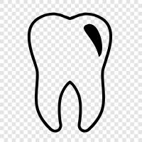 Teeth, Gums, Dentist, Teeth Whitening icon svg