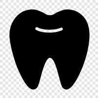 Teeth, Dentist, Dentist Near Me, Dentist Office icon svg