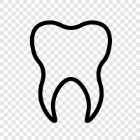 Teeth, Dental, Dentist, Oral icon svg