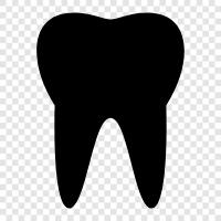 Teeth, Dentist, Dental, Health icon svg