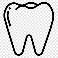 teeth, oral, braces, clean icon svg
