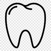 Teeth, Dentist, Dental, Gum icon svg