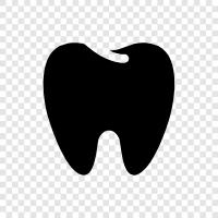 Teeth, Dentist, Dental, Gums icon svg