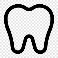 teeth, oral health, dental care, oral surgery icon svg