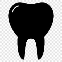 Teeth, Dentist, Gums, Decay icon svg