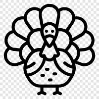 thanksgiving bird, thanksgiving recipes, thanksgiving feast, thanksgiving turkey icon svg