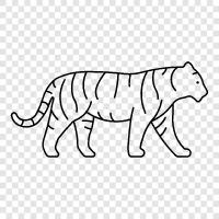 the animal, big cat, endangered species, endangered icon svg