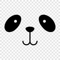 the Chinese giant panda, Panda icon svg