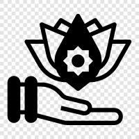 the company, Lotus icon svg