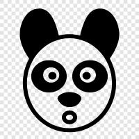 the giant panda, Panda icon svg
