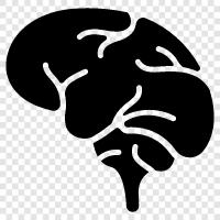 the human brain, the human mind, the human intellect, the human soul icon svg