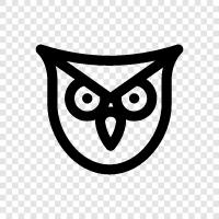 the nocturnal bird, Owl icon svg